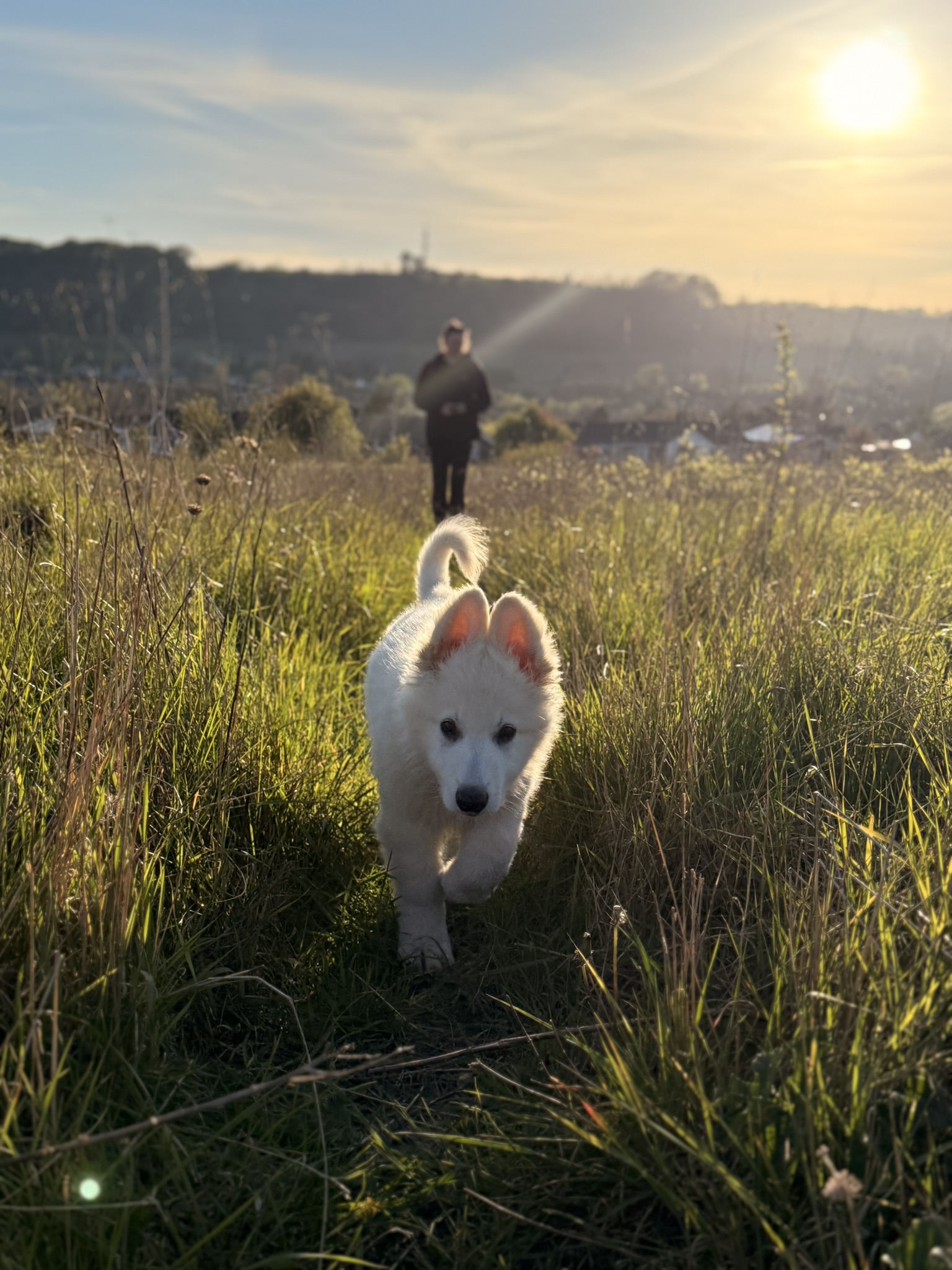 South Downs Photography