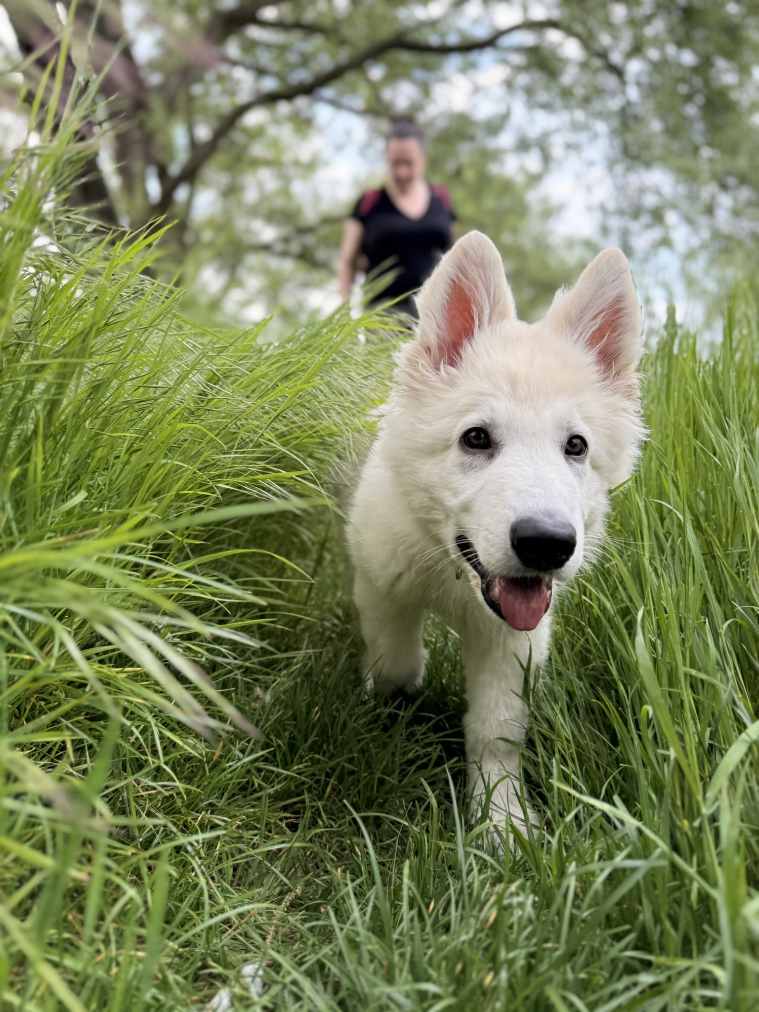 South Downs Photography