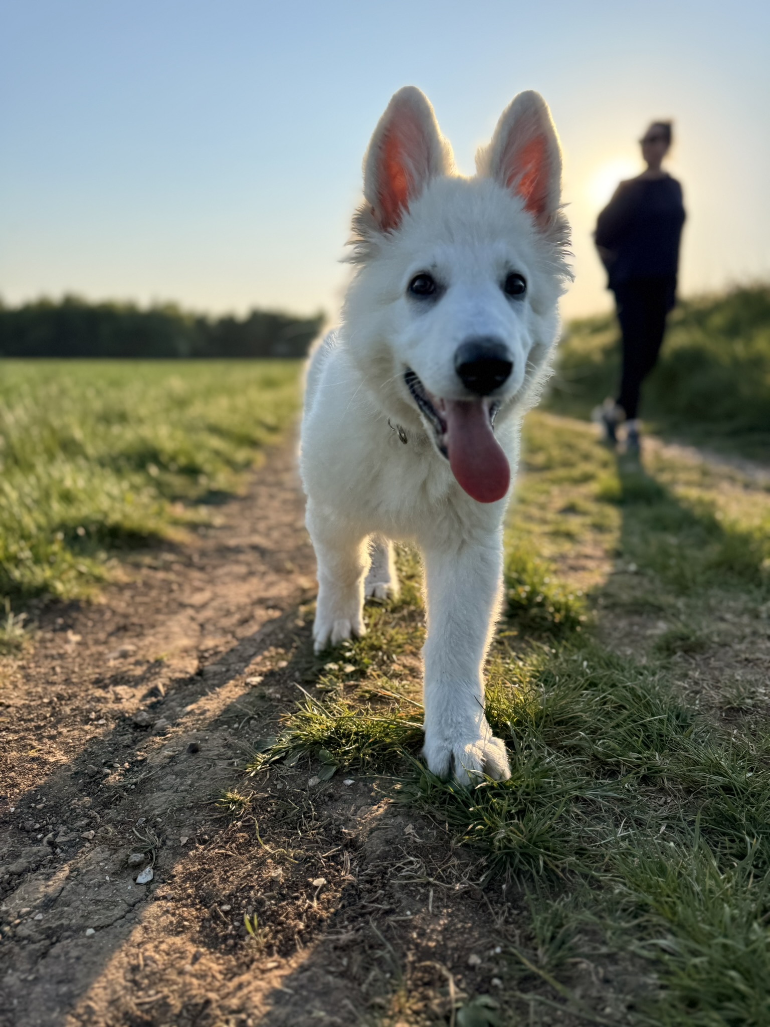 South Downs Photography