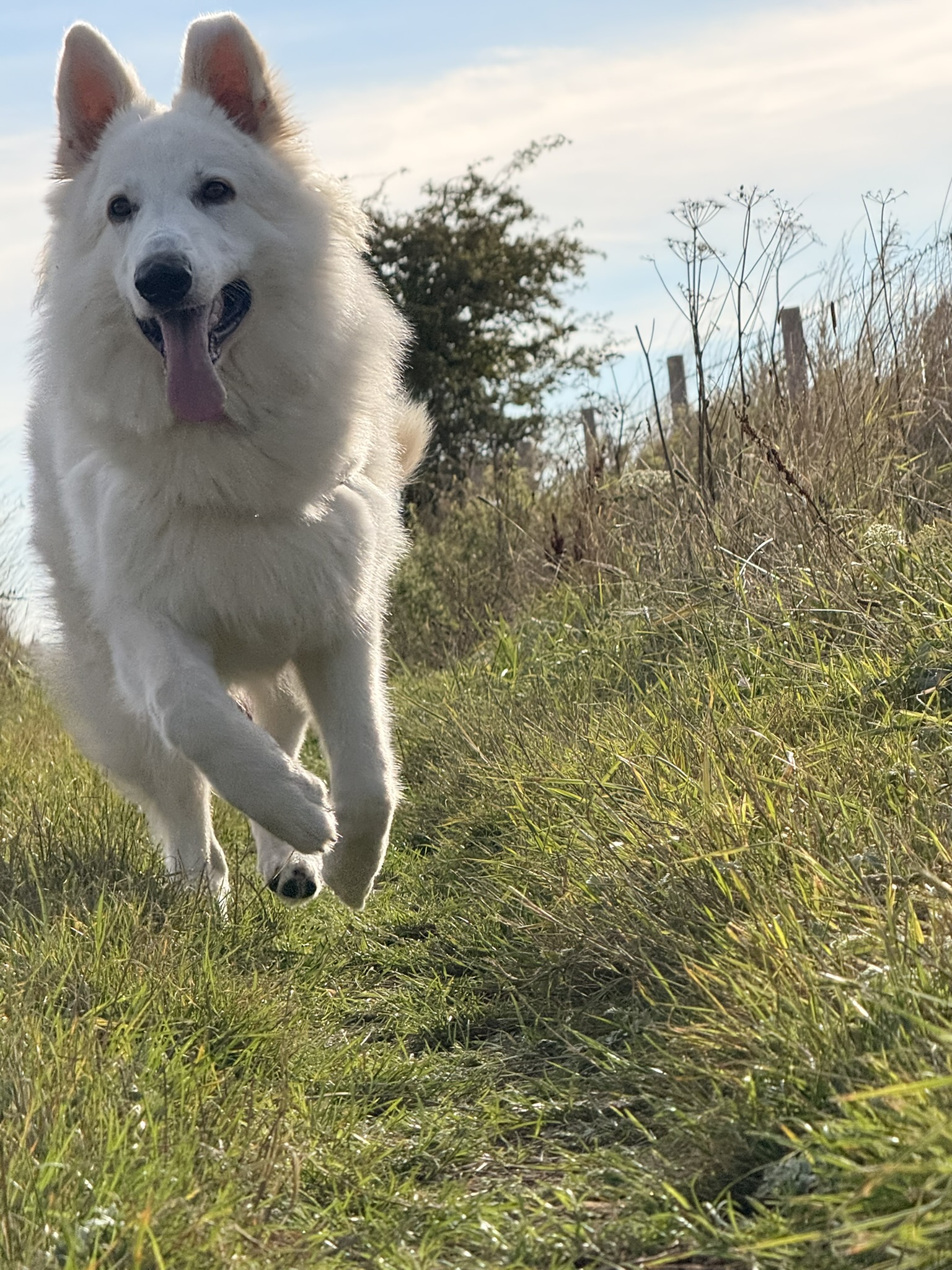South Downs Photography