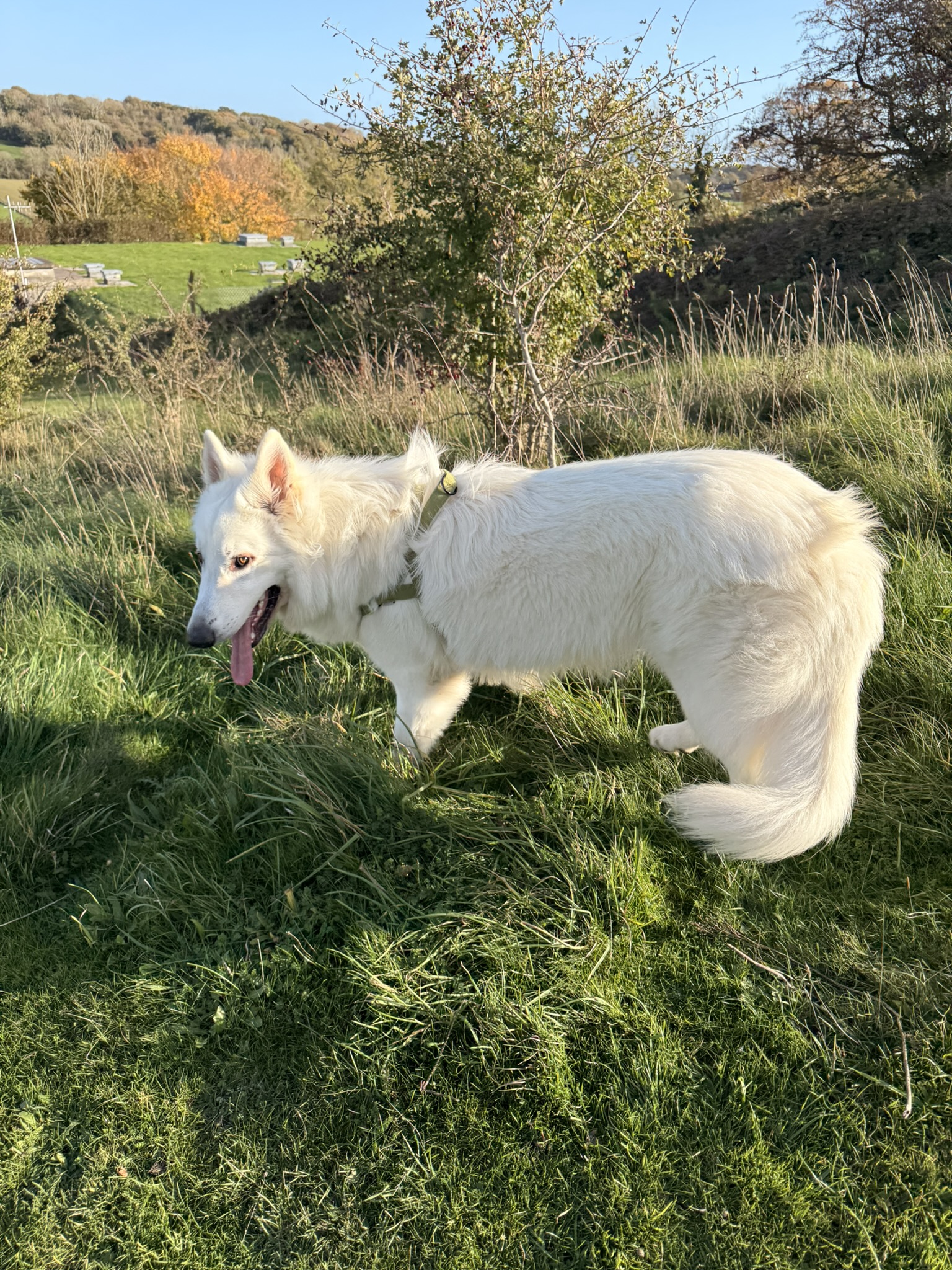 South Downs Photography